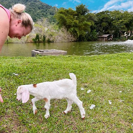 Hospedagem Zilz Pomerode Ngoại thất bức ảnh