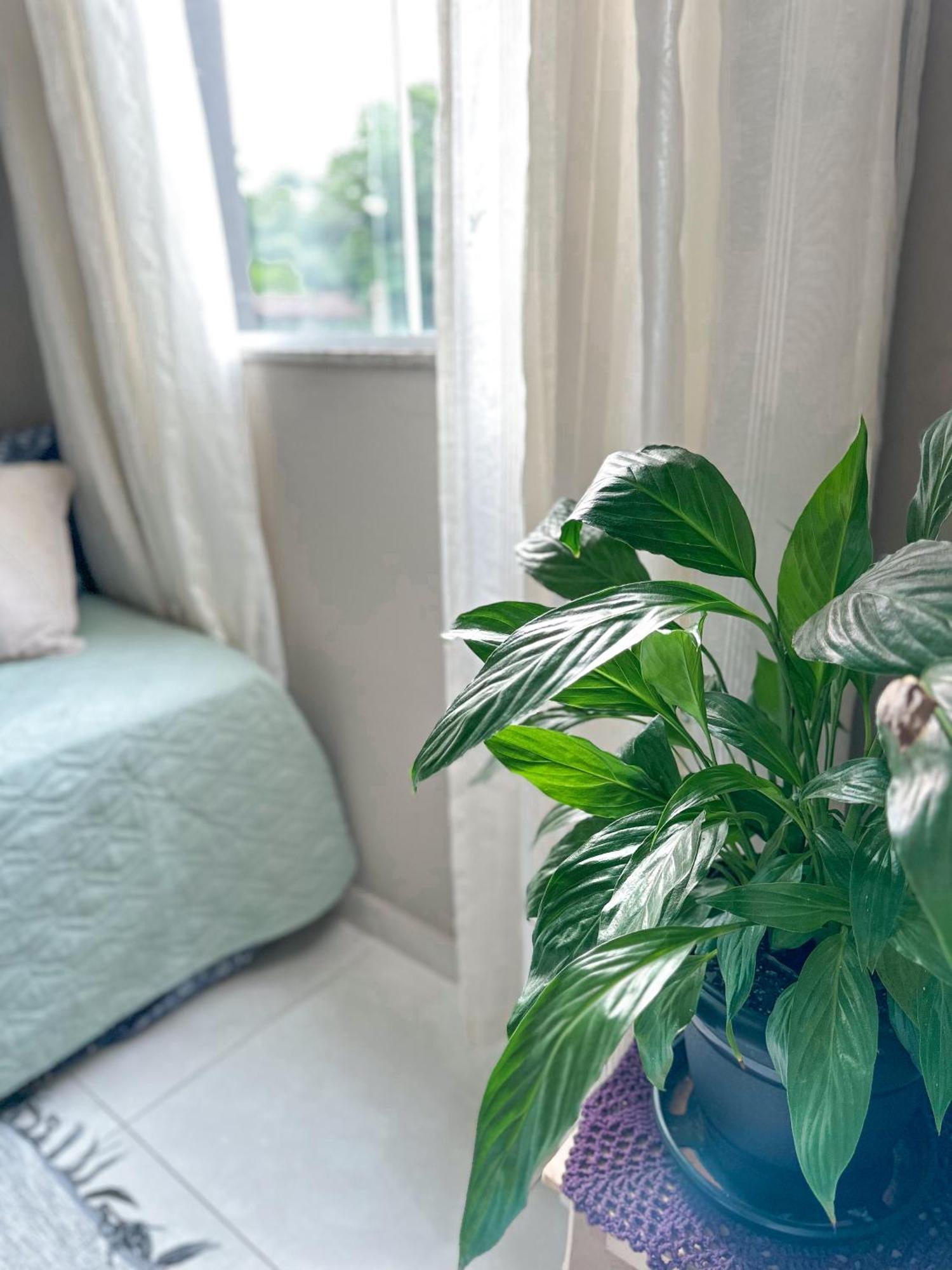 Hospedagem Zilz Pomerode Ngoại thất bức ảnh